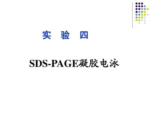 sdspage凝胶电泳1ppt