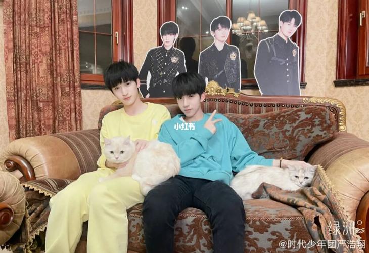 猫咪_严浩翔_贺峻霖