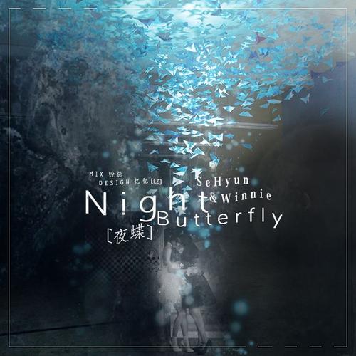 夜蝶