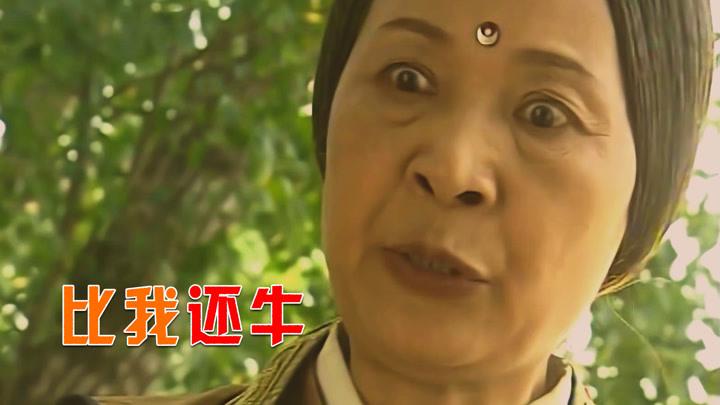 严敏求明星资料大全-严敏求动态_严敏求电视剧电影-爱