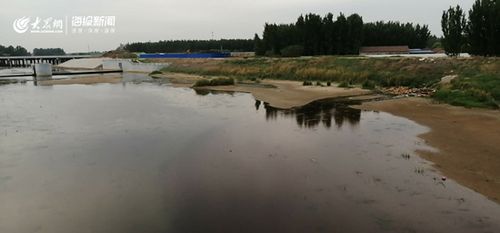 孝妇河淄博经开区段生活污水溢流? 环保部门:排污管线