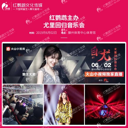 公司资讯_山东红鹦鹉文化传媒有限公司