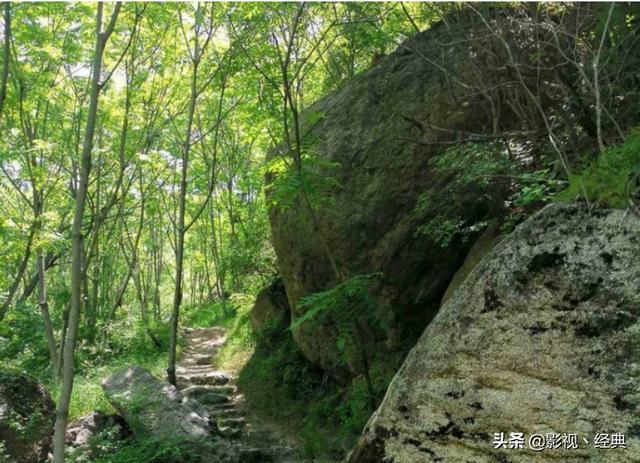 北京密云,隐藏在大山深处的森林秘境,溪流潺潺的原生态峡谷