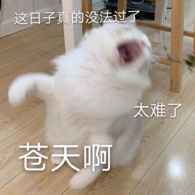 表情- 堆糖,美图壁纸兴趣社区