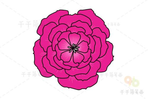 月季花简笔画步骤图