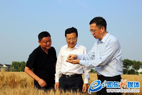 省农业农村厅领导来如调研夏收及海洋渔业安全生产工作_读新闻_如东新