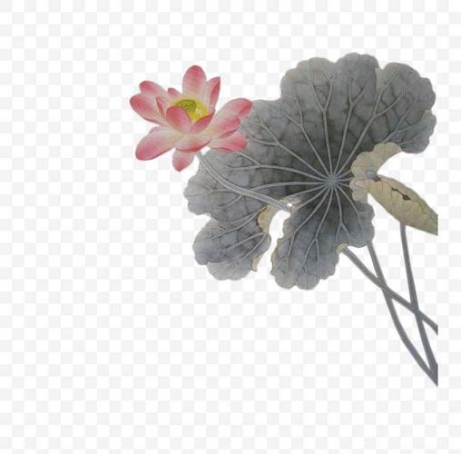 古典 荷花 中国风 水墨画