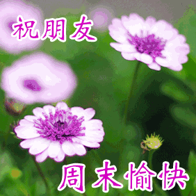 282_282gif 动态图 动图