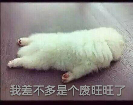 【表情包系列】关于我差不多是废人了系列表情包