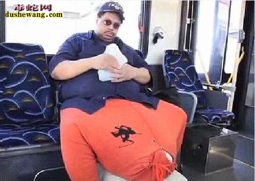 世界身体部位最大的吉尼斯记录:嘴,胸,臀,蛋蛋