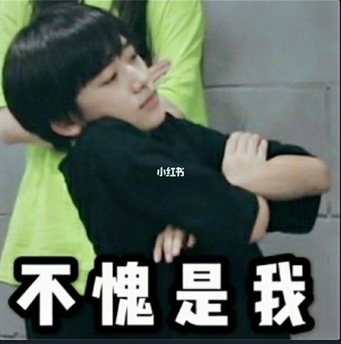 tnt表情包(一)_时代少年团_表情包_tnt时代少年团_素材_表情包