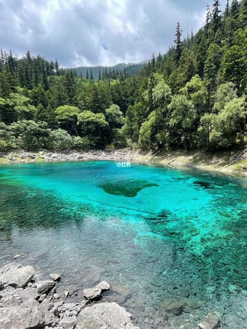 99暑期到了,四川九寨沟和黄龙风景区绝对是一个非常适合的避暑胜地.