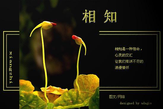 相知,相伴,相依,相守