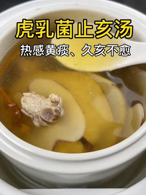 虎乳菌止咳汤_止咳_煲汤_灌汤包_润肺止咳_医疗健康