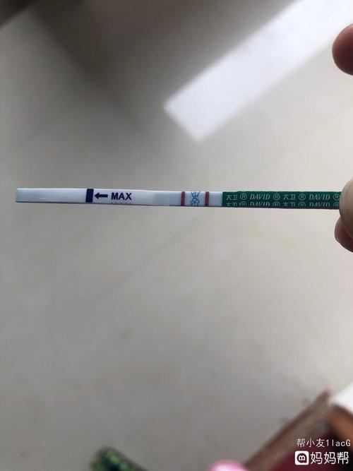 排卵后20天,大卫早孕试纸这个颜色