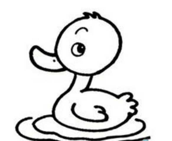 小鸭子动物简笔画小鸭子简笔画