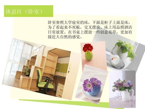 致青春主题客房设计ppt