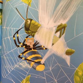 【条纹蜘蛛--听天由命的猎手】在线收听_万花筒故事集_荔枝