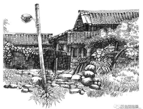 焦东路小学 钢笔画老房子 授课教师王海雁