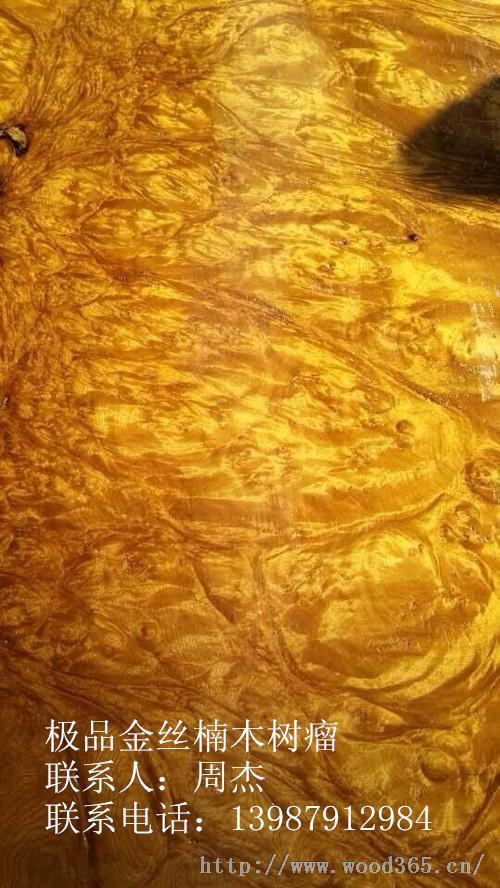 普洱金丝楠木厂家批发
