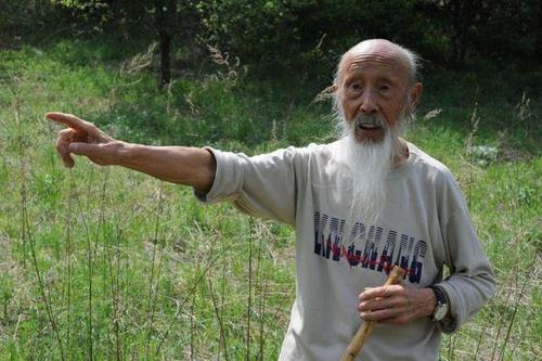 油麻菜每年夏至张至顺道长都要像候鸟一样回到终南山