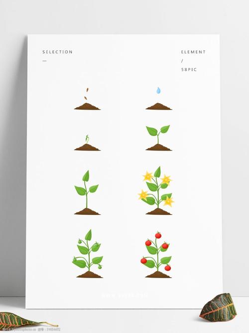 手绘可爱卡通西红柿生长过程元素套图