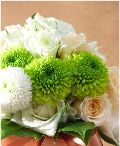[转载]各色乒乓菊的手捧花