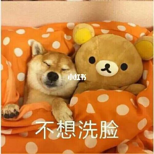 表情包‖伸个懒腰_表情包_素材_表情包