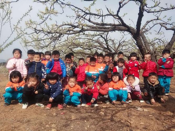 金阳光幼儿园中班#拥抱春天快乐郊游#主题活动