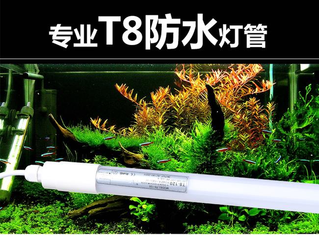 鱼缸日光灯管防水