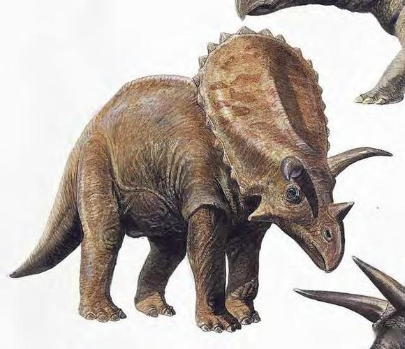 五角龙竟然只有三只角?《恐龙全书》