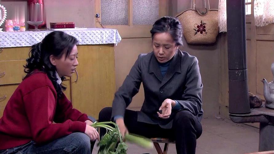 金婚:燕妮来看母亲,只要一提及父亲,文丽就连忙转移话题-影视综视频