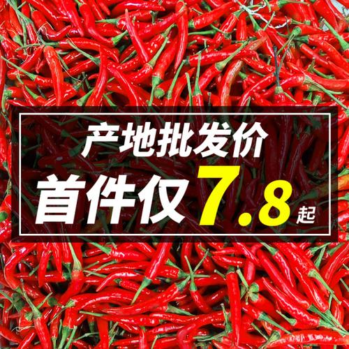 购客小米辣椒新鲜5斤小米椒农家自种当季蔬菜五七朝天剁辣椒整箱 免邮