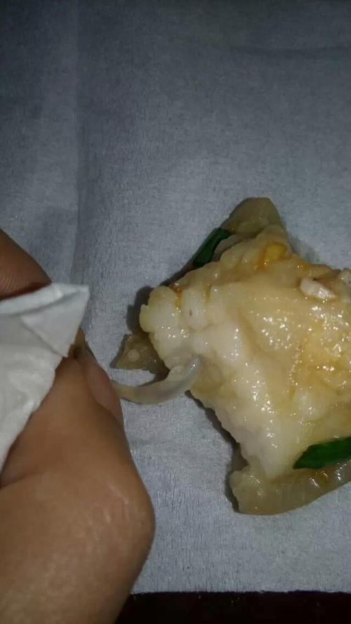 不管花盆里有什麼虫,这些招数让虫子全除光!