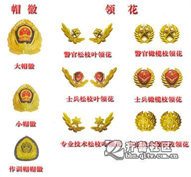 武警帽子上的国徽是什么样的求图武警帽子上的那个徽章是什么样的,谁