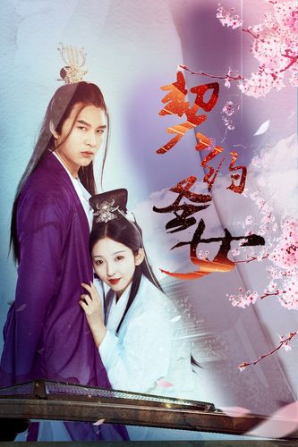 《契约圣女》电视剧 - 全集超清免费在线观看 - 淘