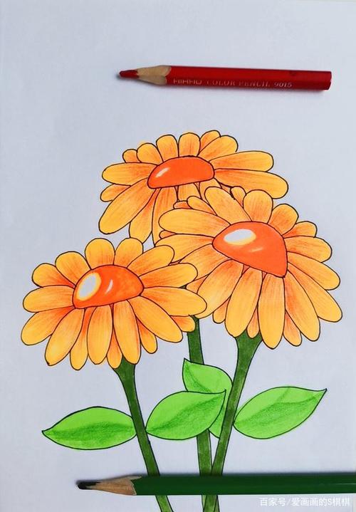 儿童画菊花,少儿美术绘画