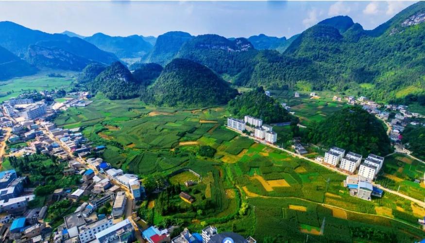 董马乡 麻 栗 坡 县