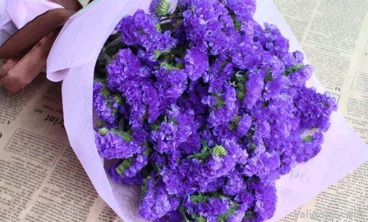 勿忘我花语是什么