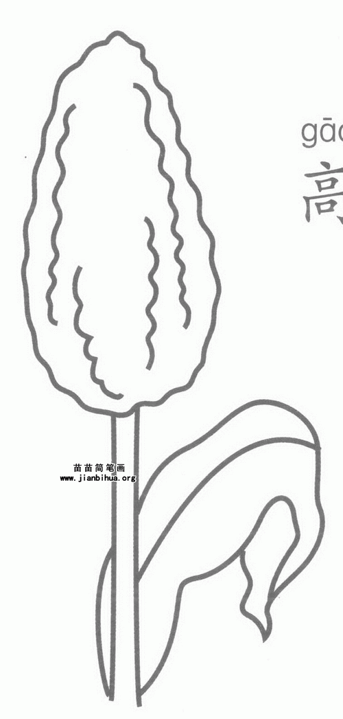 高粱简笔画图片,教程