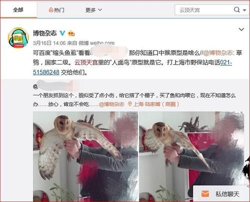 人面鸟,口中猴真的是我《盗墓笔记》中我最怕的一个小怪物.