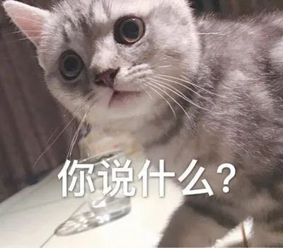 可爱卖萌表情包 | 哭了
