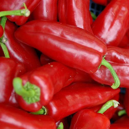 其它 【步一行绿洲店】会员专享 积分兑换 年货盛典 写美篇大红椒