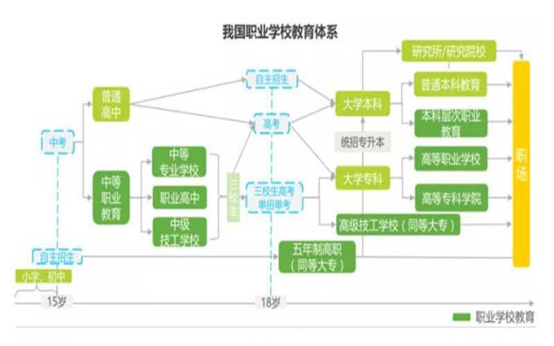 中国将建立世界上最大的职业教育体系,职业培训行业已
