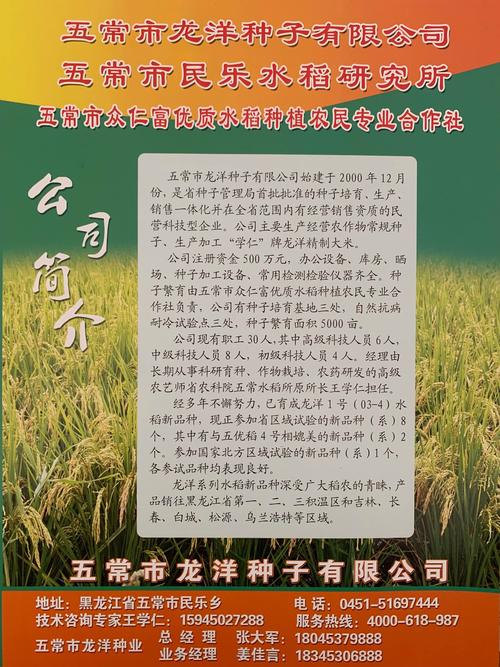 五常市龙洋种子有限公司品种介绍