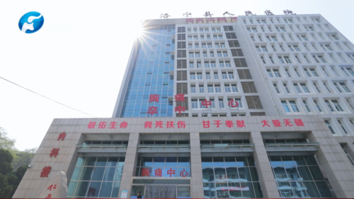 医心向党 仁术为民|洛宁县人民医院