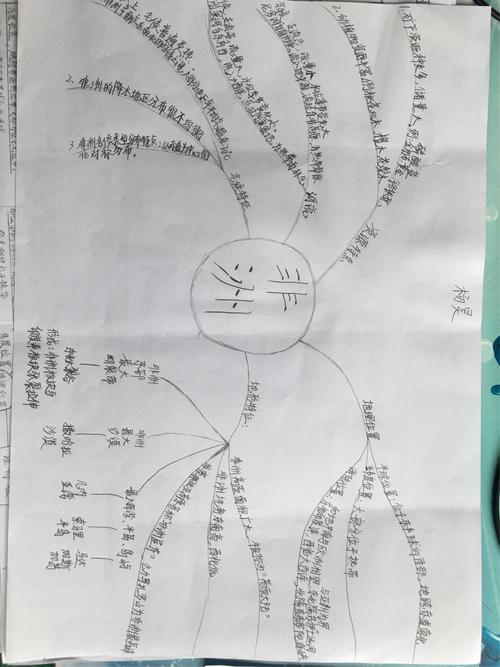 亚洲,欧洲,非洲思维导图优秀作业展评