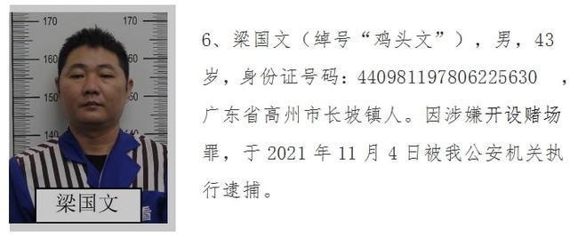 高州打掉长坡镇陈洪坡狗洪为首的涉黑团伙请受害者和群众举报