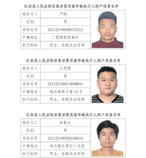 红安县公安局现向社会公开征集"徐文虎黑社会性质组织","王愿玲黑社会