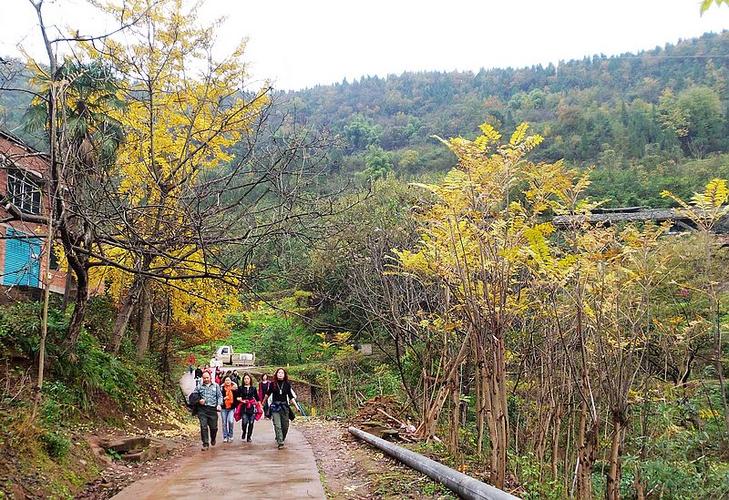12月5号70人火峰山-长田坝-南坝22km穿行